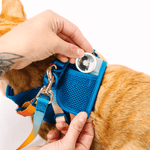 Atlas Cat Harness & Leash Set | Pink Papyrus