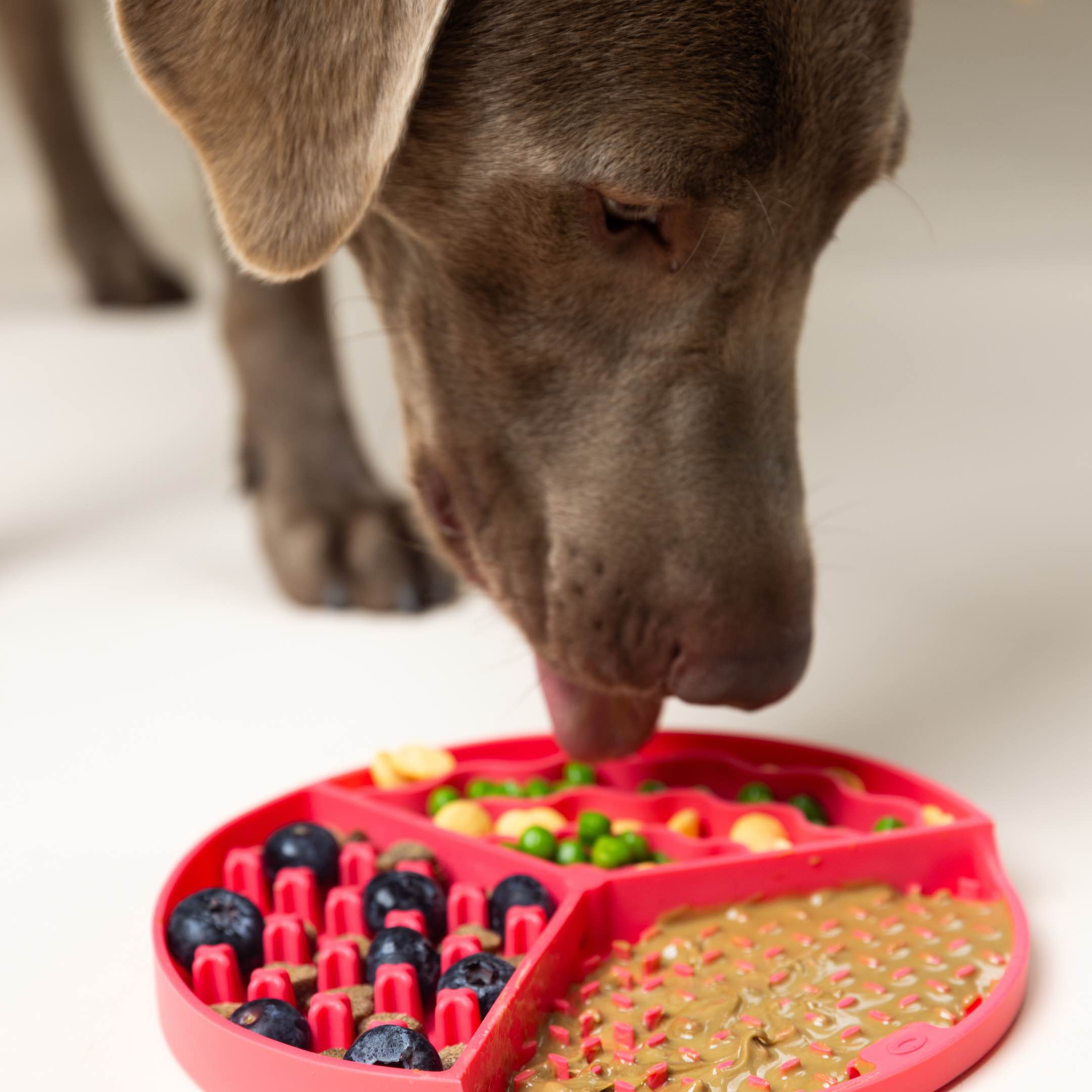 Pink Lick Mat