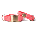 Ambrose Dog Collar | Pink Papyrus
