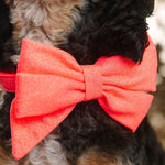 Ambrose Babe Bow Dog Collar | Pink Papyrus