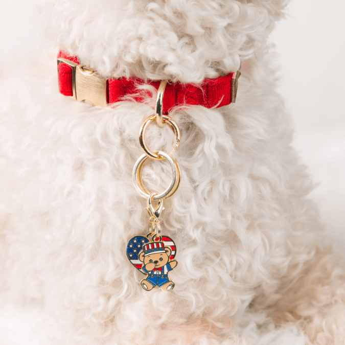 American Bear American Heart Combo 1 | pinkpapyrus.myshopify.com