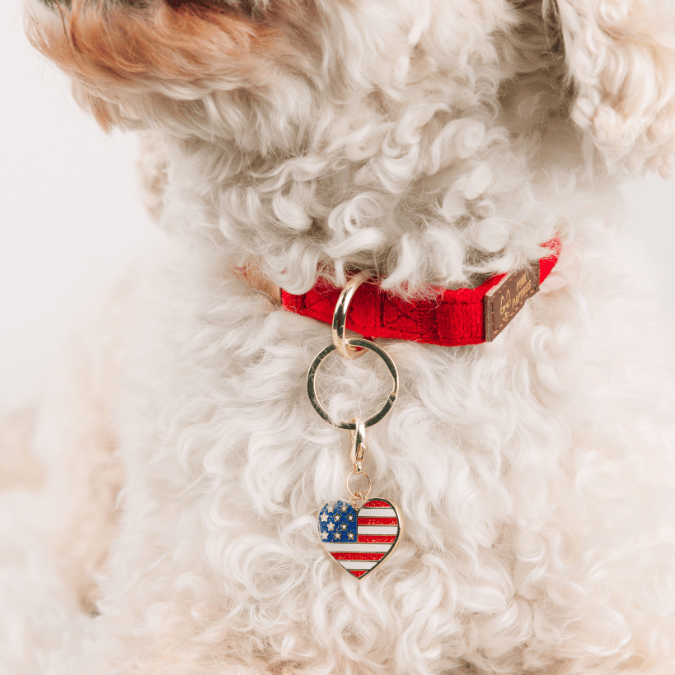 American Heart 2 | pinkpapyrus.myshopify.com
