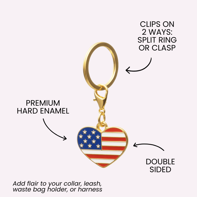 American Heart 3 | pinkpapyrus.myshopify.com