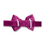 August Bow Tie Dog Collar | Pink Papyrus