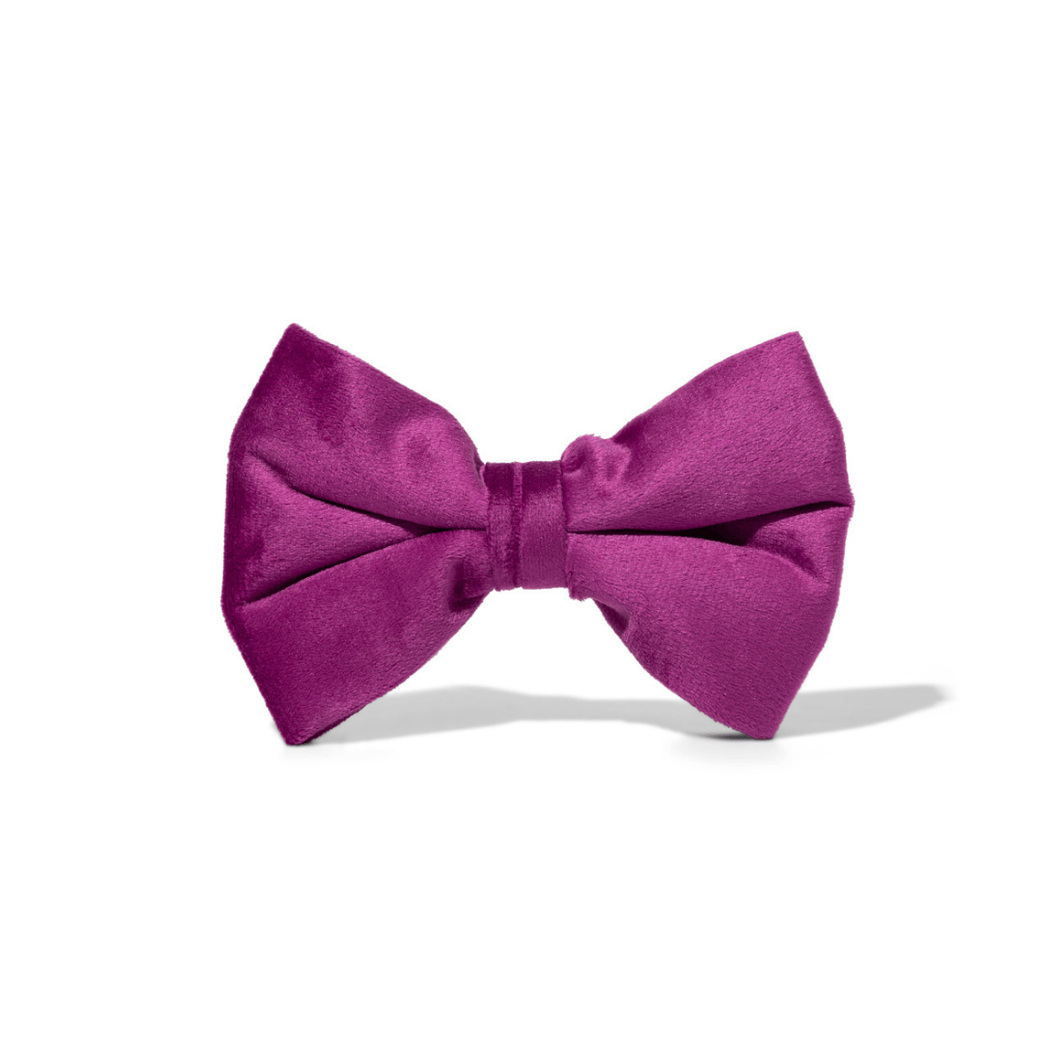 August Bow Tie