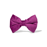 August Dog Bow Tie | Pink Papyrus