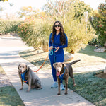 Beau Hands-Free Rope Dog Leash | Pink Papyrus