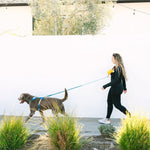 Beau Hands-Free Rope Dog Leash | Pink Papyrus