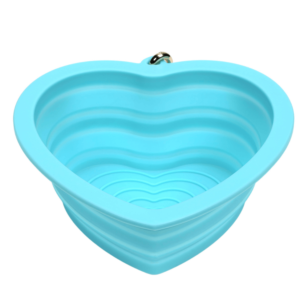 Aqua Heart Collapsible Bowl