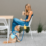 Aqua Heart Collapsible Bowl