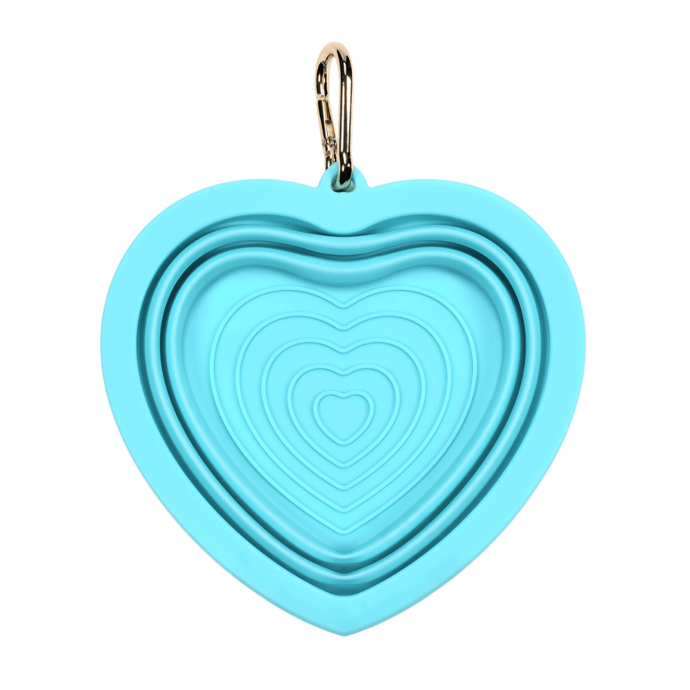 Aqua Heart Collapsible Bowl