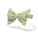 Bryce Babe Bow Dog Collar | Pink Papyrus