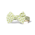 Bryce Bow Tie Dog Collar | Pink Papyrus