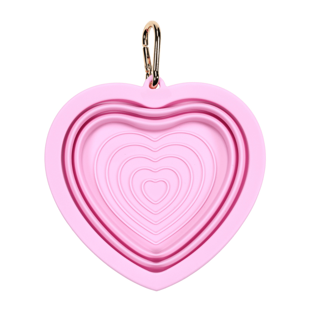 Bubblegum Heart Collapsible Bowl