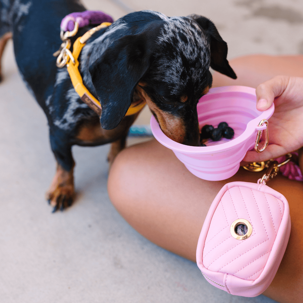Bubblegum Heart Collapsible Bowl