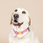 Chrishell Dog Collar | Pink Papyrus