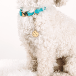 Cookie Pet Charm | Pink Papyrus