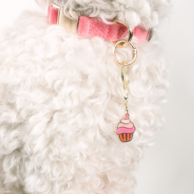 Cupcake Pet Charm