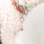 Cupcake Pet Charm | Pink Papyrus