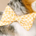 Daisy Dog Babe Bow | Pink Papyrus