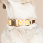 Daisy Dog Collar | Pink Papyrus