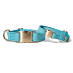 Dawson Dog Collar | Pink Papyrus