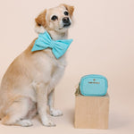 Dawson Waste Bag Holder & Treat Pouch | Pink Papyrus