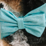 Dawson Dog Babe Bow | Pink Papyrus