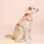 Diem Dog Harness | Pink Papyrus