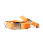 Ezra Dog Collar | Pink Papyrus
