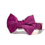 August Bow Tie Dog Collar | Pink Papyrus