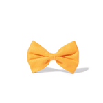 Keaton Dog Bow Tie | Pink Papyrus
