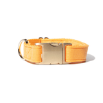 Keaton Dog Collar | Pink Papyrus