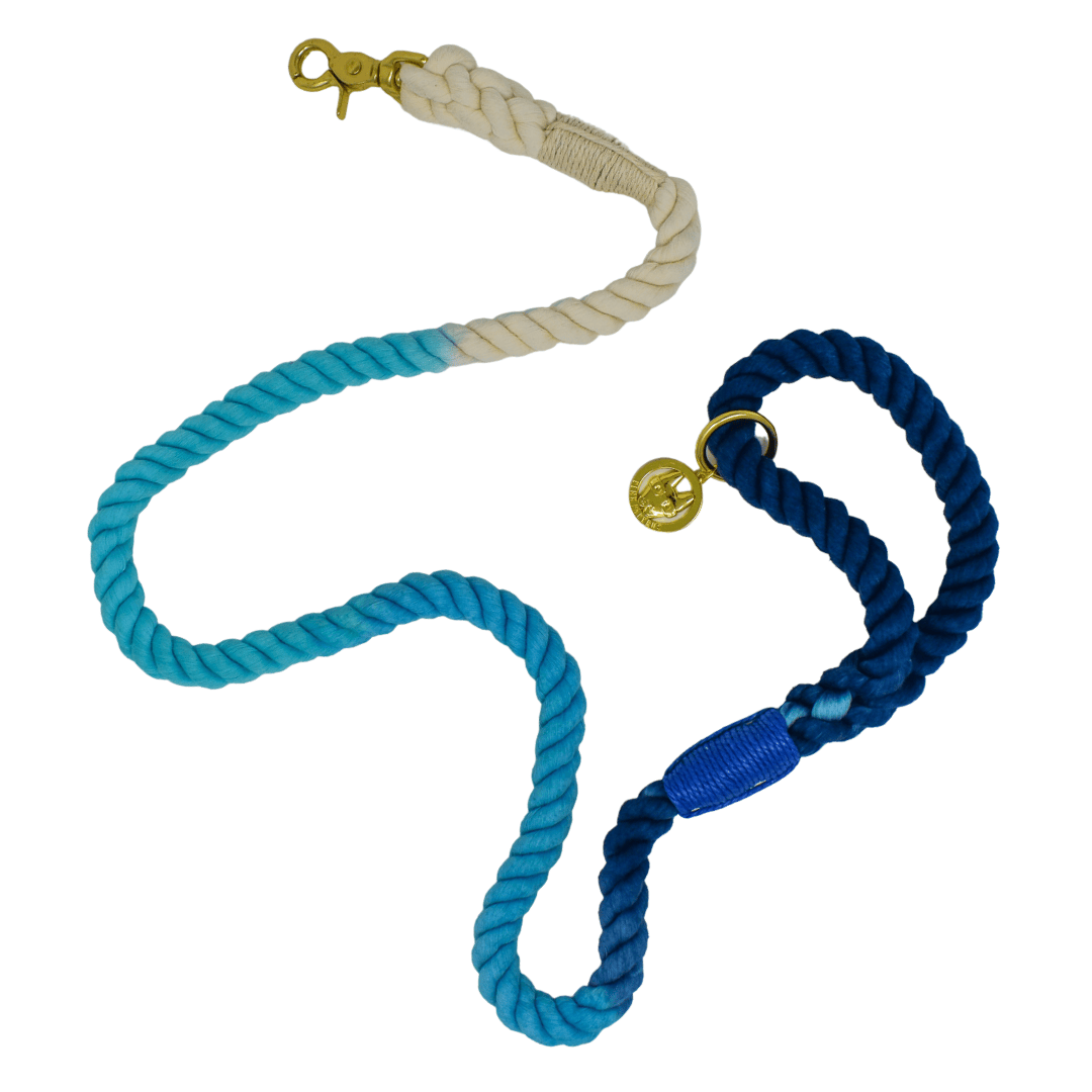 🎁 Kennedy Rope Dog Leash (100% off) | Pink Papyrus