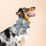 Leighton Dog Babe Bow | Pink Papyrus