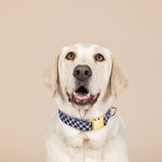 Leighton Dog Collar | Pink Papyrus