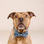 Leighton Dog Bow Tie | Pink Papyrus