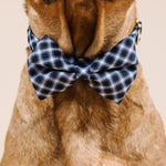 Leighton Dog Bow Tie | Pink Papyrus