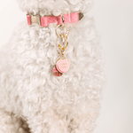 Love You Sweetheart & Cupcake Pet Charm Set | Pink Papyrus