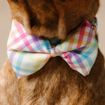 Minka Bow Tie Dog Collar | Pink Papyrus