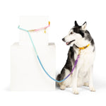 Nola Hands-Free Rope Dog Leash | Pink Papyrus