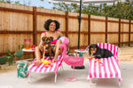 Katelin All Weather Dog Leash | Pink Papyrus