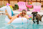 Pippa All Weather Dog Leash | Pink Papyrus