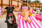 Katelin Dog Collar | Pink Papyrus