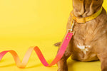 Katelin All Weather Dog Leash | Pink Papyrus