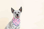 Clarke Dog Bandana | Pink Papyrus