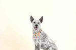 Amelia Dog Bandana | Pink Papyrus