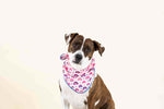 Clarke Dog Bandana | Pink Papyrus