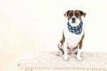 Ryder Dog Bandana | Pink Papyrus