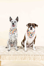 Amelia Dog Bandana | Pink Papyrus
